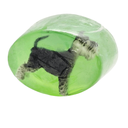 Savon Swibi - Chien - Parfum Pomme thumbnail 1
