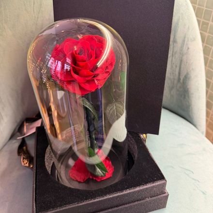 Rose Éternelle Love thumbnail 3