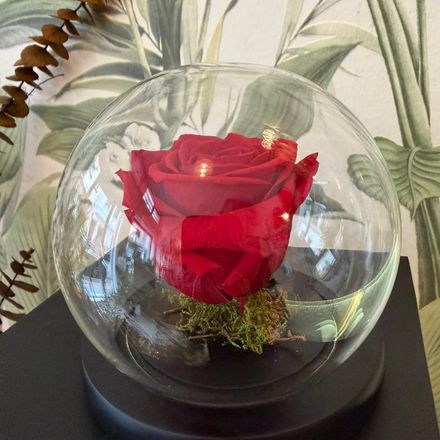 Rose éternelle boulle thumbnail 2