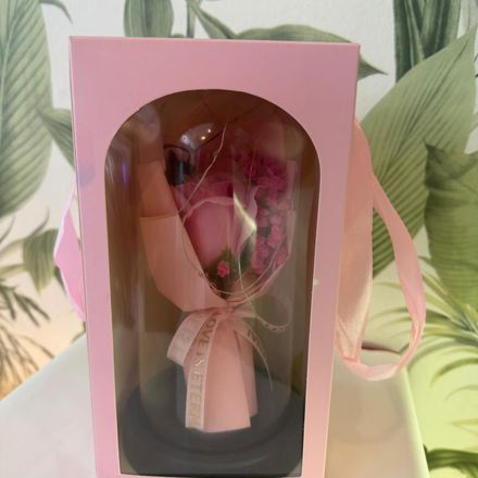 Rose bébé  thumbnail 3