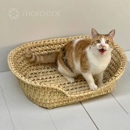 Lit De Repos Artisanal Ovale En Osier Tressé Pour Animaux De Compagnie thumbnail 1
