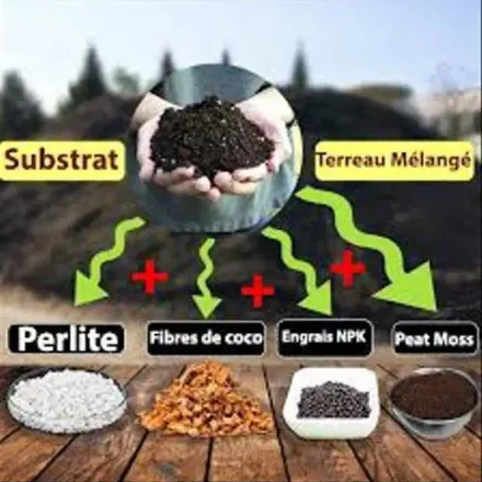 Substrate Terreau Végétal Bio Organique 70 Litre thumbnail 4