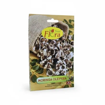 Flora Graines De Moringa Oleifera 20 Semences thumbnail 2