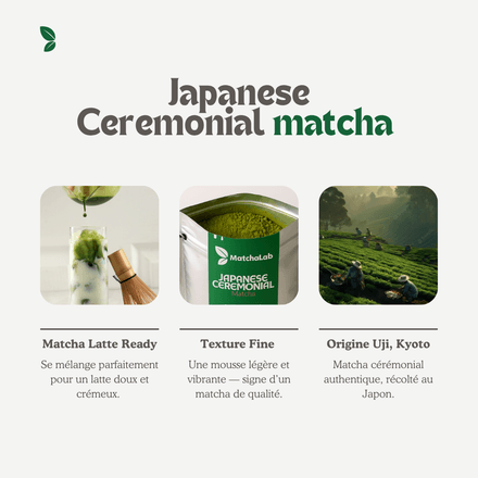 Matcha Japonais Cérémonial Premium thumbnail 4