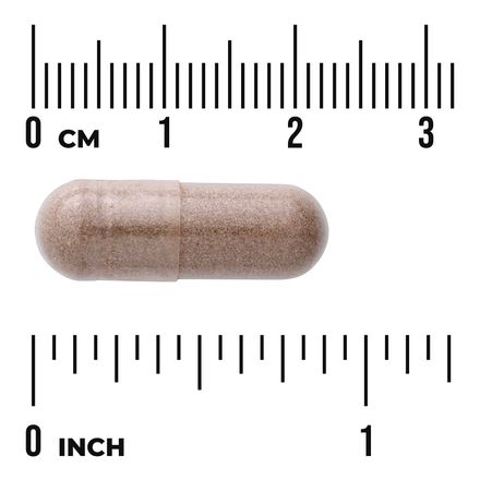 Chou Palmiste Full Spectrum®, 540 Mg, 100 Capsules Véganes thumbnail 3