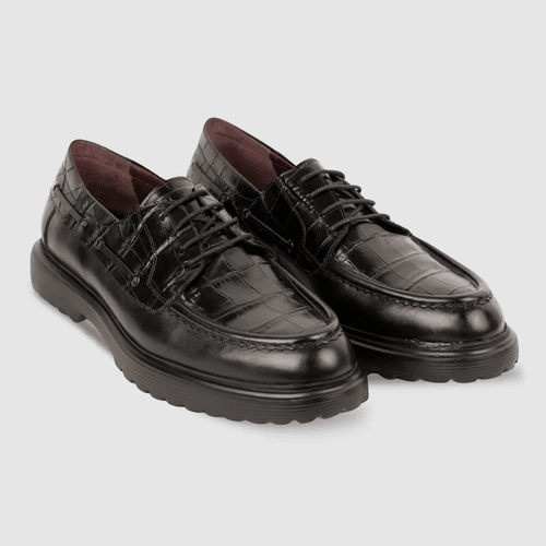 Monarch: Derby