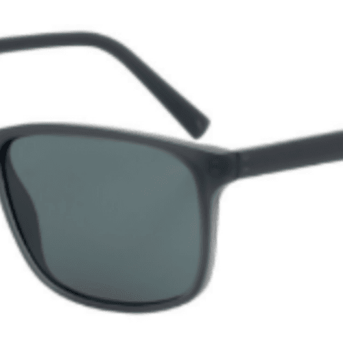 lunette de soleil pour homme 