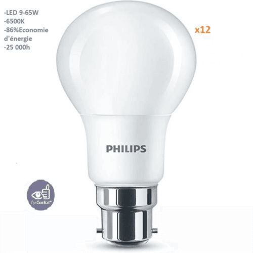 PACK 12 AMPOULESESS LEDBULB 9W B22 6500K 230V 1PF/12 MA