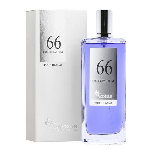 Nº66 SIMILAIRE À POLO BLUE