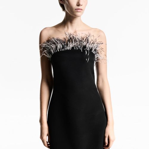 Robe Bustier Détail Plumes