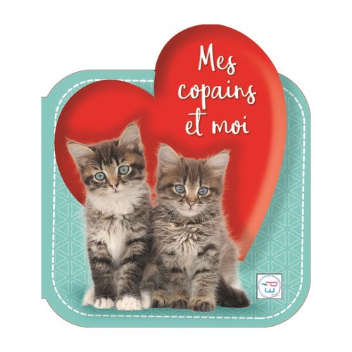 MES COPAINS ET MOI - CHATS