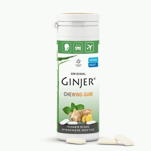 Chewing-gum Gingembre Menthe 3G