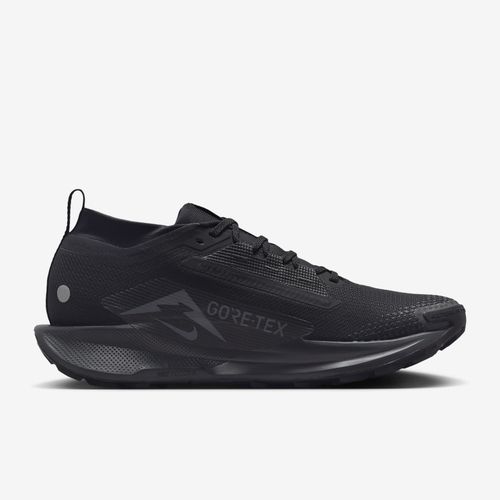Nike Pegasus Trail 5 GORE-TEX