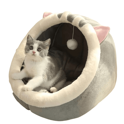 Lit pour chat et chien - Grotte avec Oreiller et Jouet - Lavable en Machine