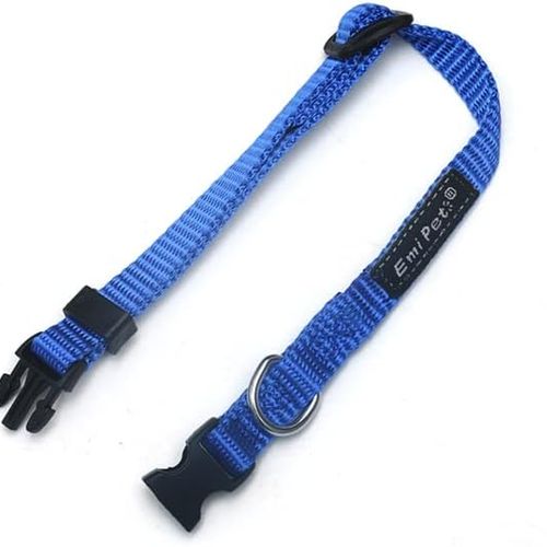 Collier Réglable et Durable pour Chien et Chat (couleur aléatoire)