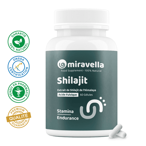 Himalayan Shilajit – Energy & Vitality – 60 capsules, 100% natural