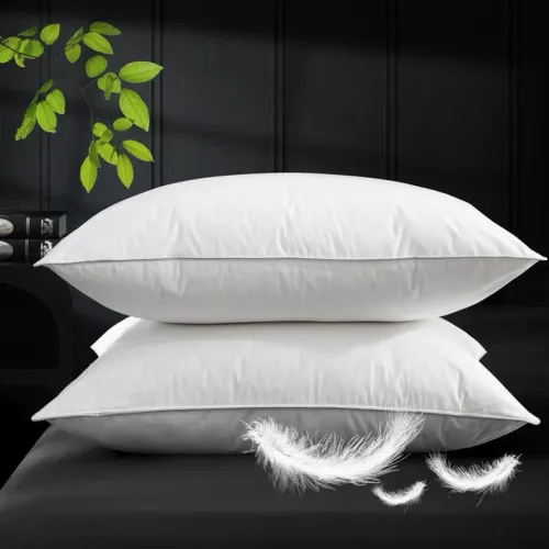 Oreiller Premium - Duvet de Canard