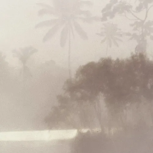 Lac Tropical Pure Papier Peint Photo Murale Intissé – L 200 x H 280 cm