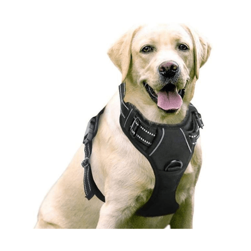 Dog Harness for Large Dogs
