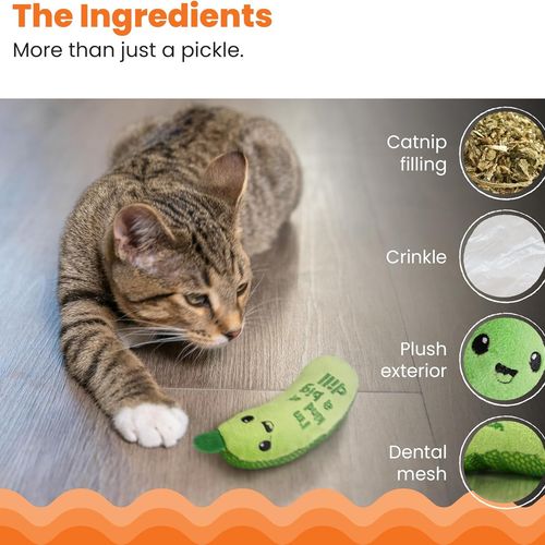 Cat Kicker Toy with Catnip – Crunchy Plush Pickle for Active Play