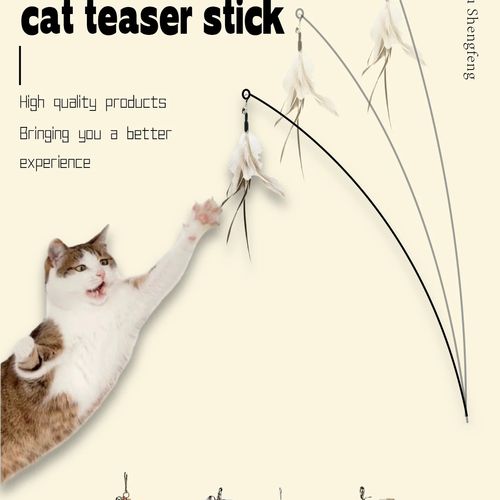 Jouet Pour Chat Canne avec support Q BIRD