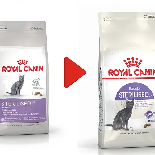 Royal Canin Croquettes pour Chat Stérilisé 2kg