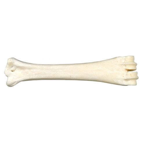 Os au calcium - 160g