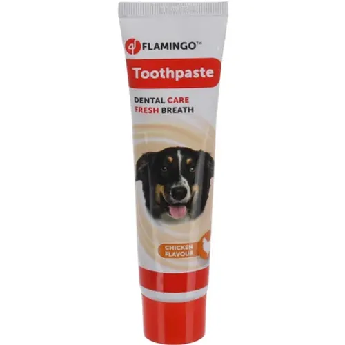 Dentifrice Dafra Saveur Poulet 85gr Display / 521235