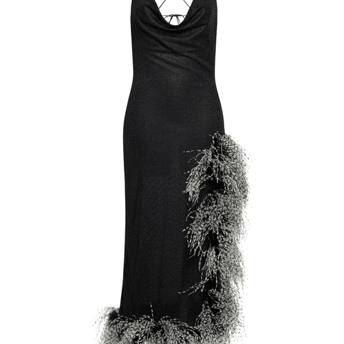 Robe De Soirée Lumière Bicolore Plumage