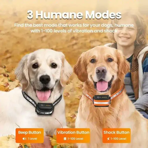 Collier De Dressage Électrique Rojeco 1000m - Pour Une Éducation Canine Douce Et Efficace 🐾