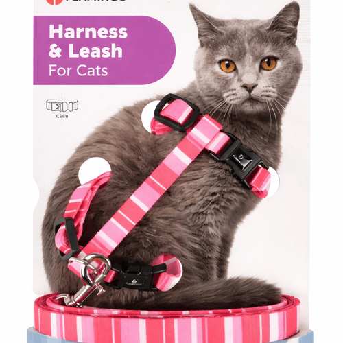 Harnais & Laisse Réglables Pour Chat