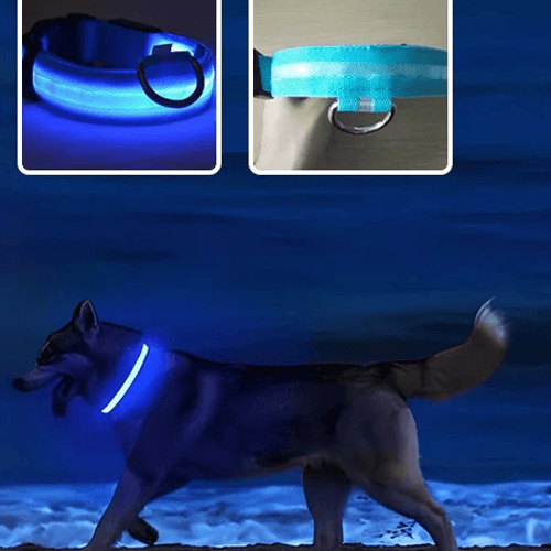 Collier Chien Lumineux Taille M