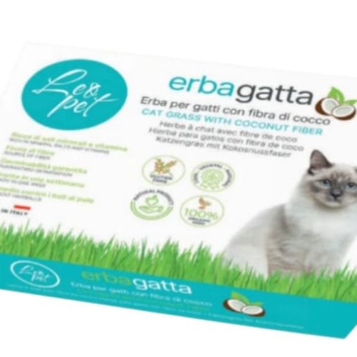 Leopet Herbe À Chat Coco 100g