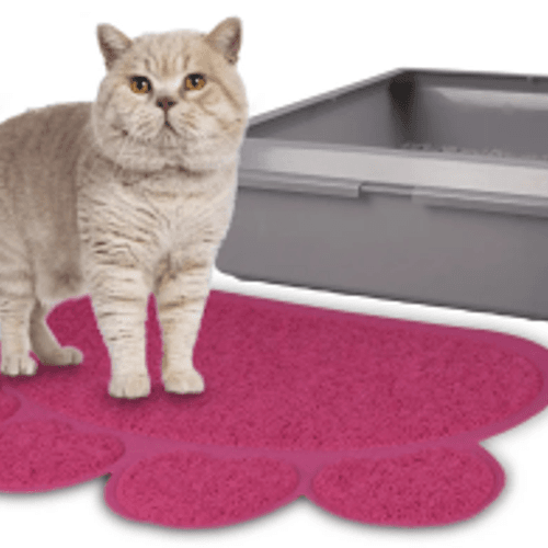 Tapis De Bac À Litière