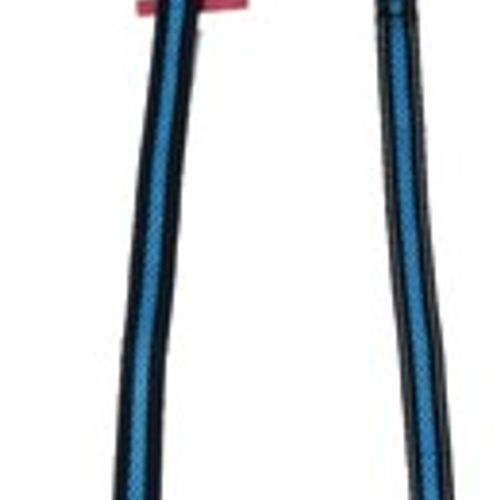 Laisse Réfléchissante Bleu