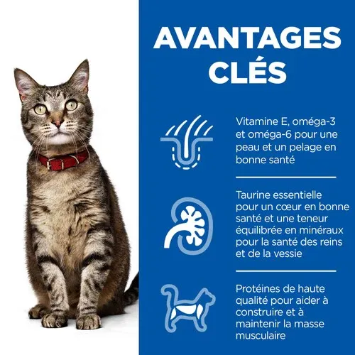 Hills Science Plan Aliment Sec Pour Chat Adulte (1-6) - Agneau 1,5 Kg