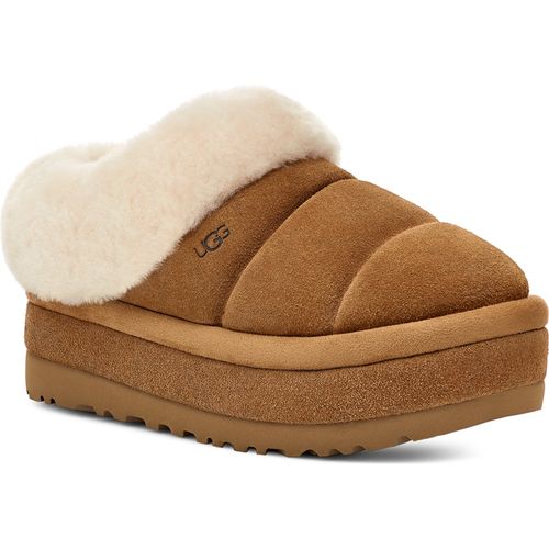 Tazzlita Chestnut