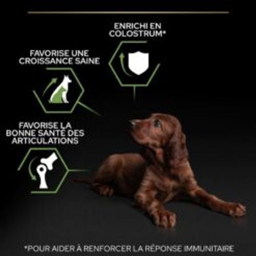 Pro Plan Large Athletic Puppy | 12kg