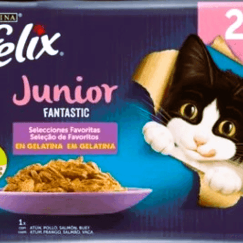 Fantastique Junior 4x85g