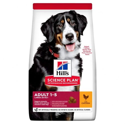 Croquettes Chien Large Breed Adult