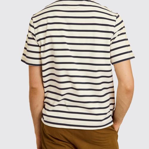 Polo Striped Cotton He