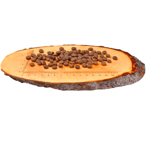 Croquettes Cat Salmon Sensitive – Digestion Sensible, Poil Long