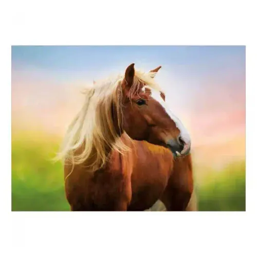 Puzzle - Cheval Au Lever Du Soleil 500 Pièces - 48 X 34 Cm