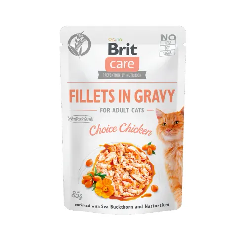 Cat Aliment Humide Chat Pouch Choice Chicken