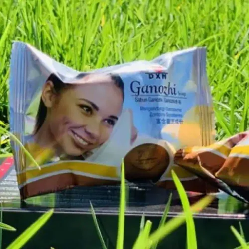 Savon - Dxn - Ganozhi - Extrait De Ganoderma - Huile De Palme - 150 G