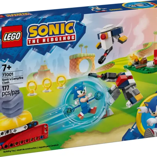 Conflit Au Feu De Camp De Sonic