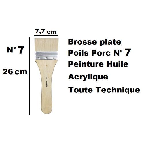 Pinceau Brosse Plate Poils Porc N° 7