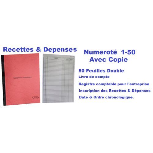 Piqûre Registre Recettes Et Dépenses Numéroté Double 1-50 - 210 X 270 Mm
