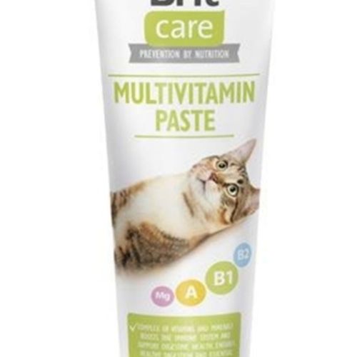 Pâte Pour Chat Multivitamine Cat 100 G
