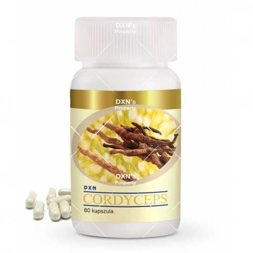 Dxn Cordyceps Sinensis Dxn En Gélules : Vigueur Et Vitalité